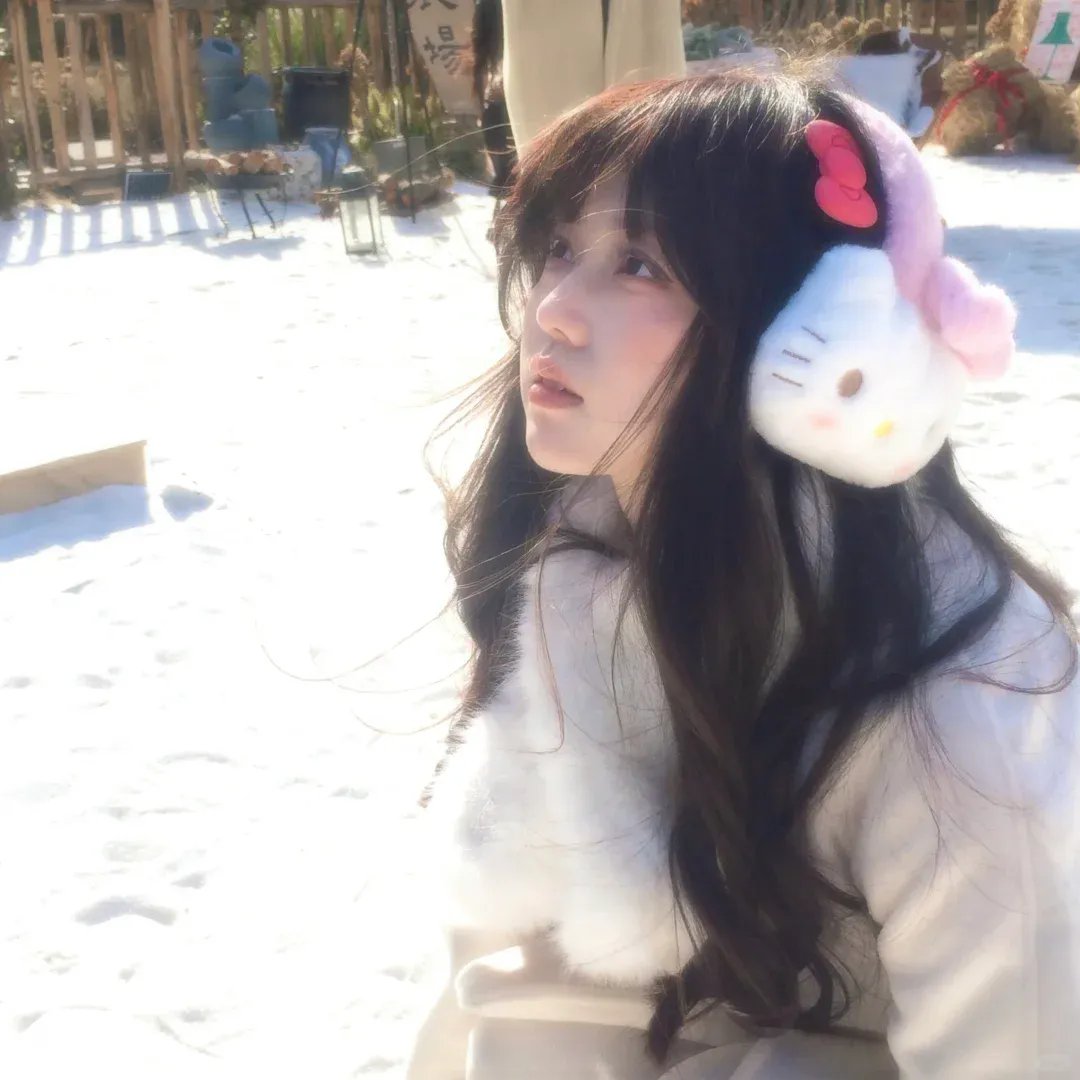 新大头儿子和小头爸爸之秘密计划