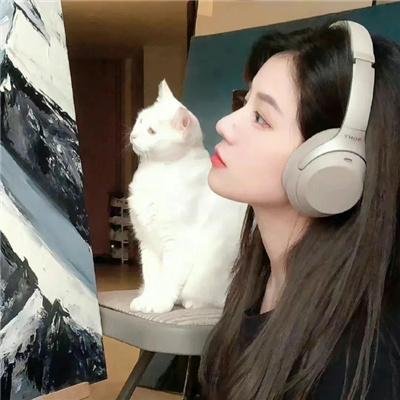 转生成猫的大叔